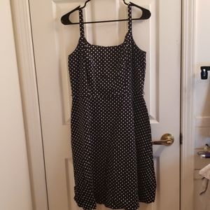 K & Company Polka Dot Dress Size 10